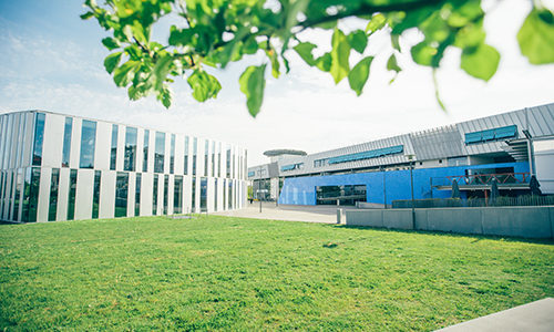 HdM im Sommer